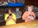 animal camp Il.