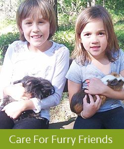 Care For animals